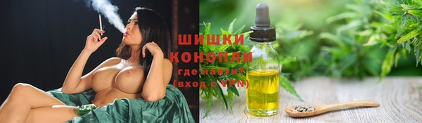 индика Балабаново