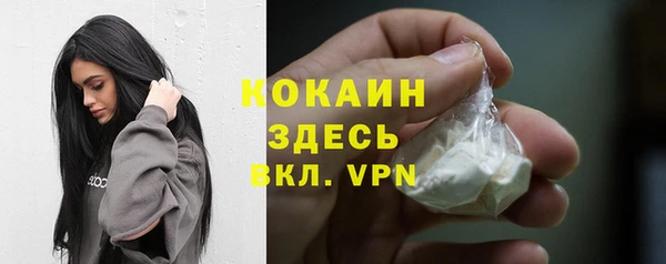 индика Балабаново