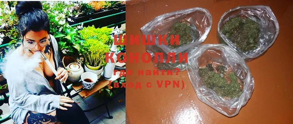 индика Балабаново