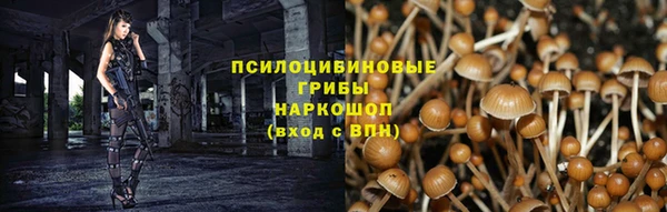 индика Балабаново