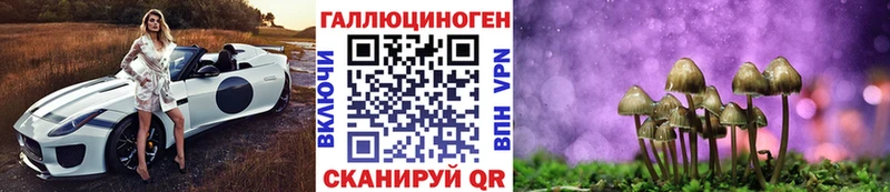 Купить закладки  Мончегорск  Галлюциногенные грибы MAGIC MUSHROOMS 